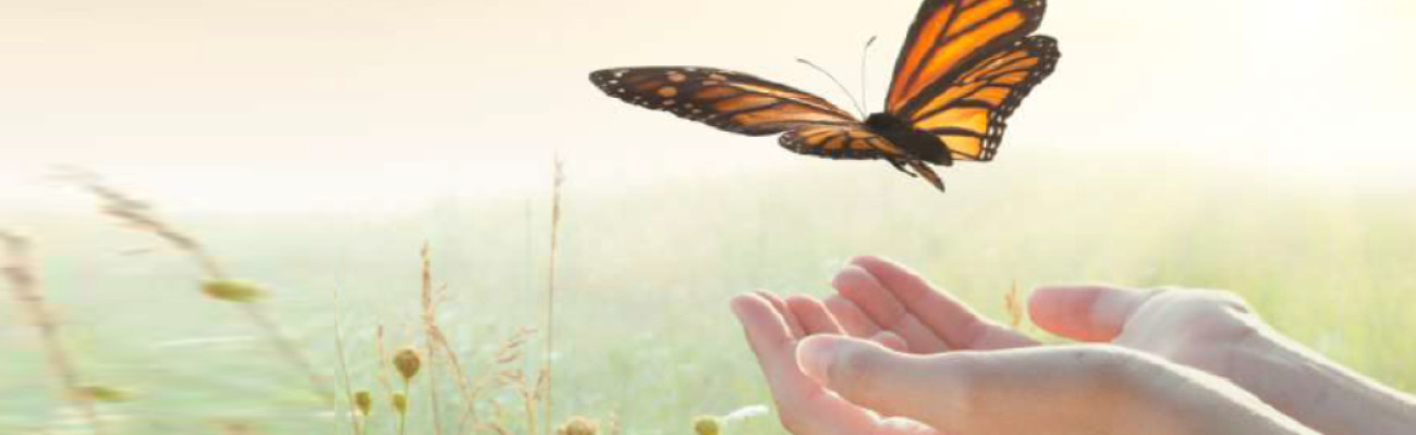 butterfly flying out of hands