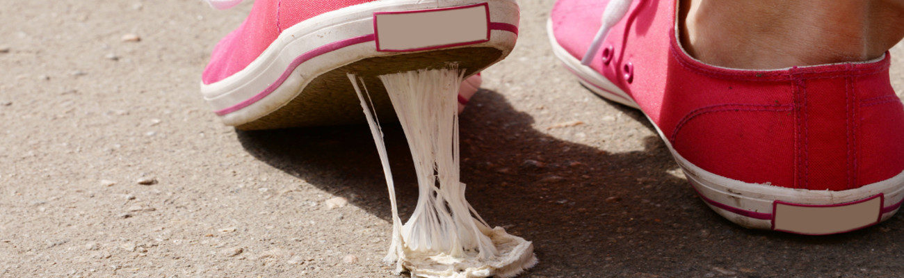 Gum