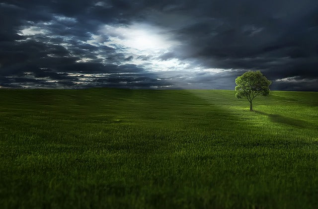 The Purpose of Pain and Suffering: Full Course - Manuscript Edition